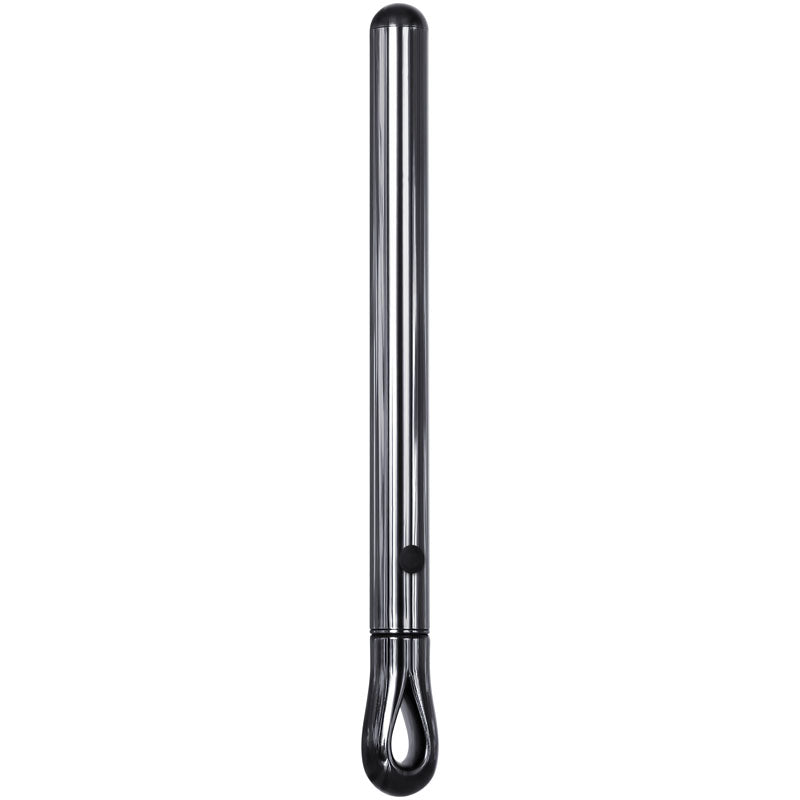 Evolved Pen Pal Metallic Vibrator