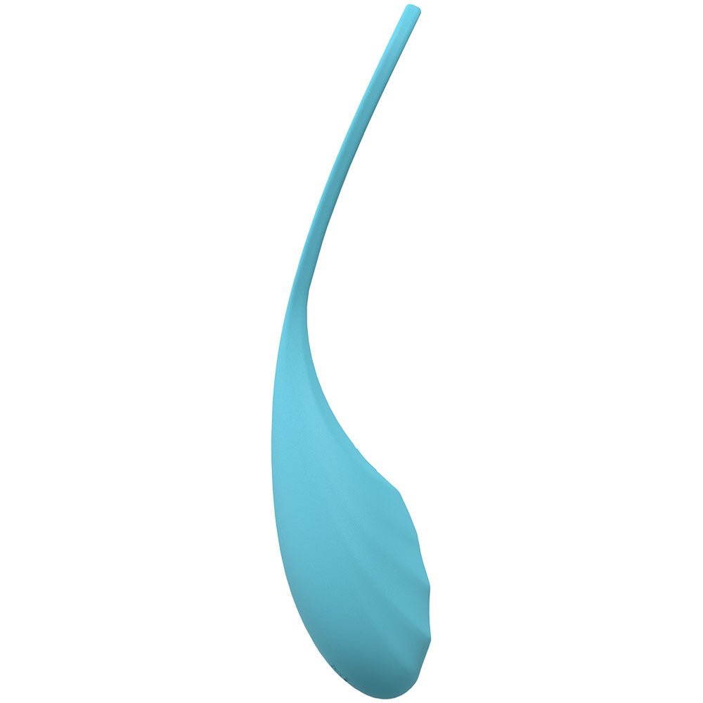 Loveline Passion - Vibrating Egg with Wireless Remote Control  -  Blue