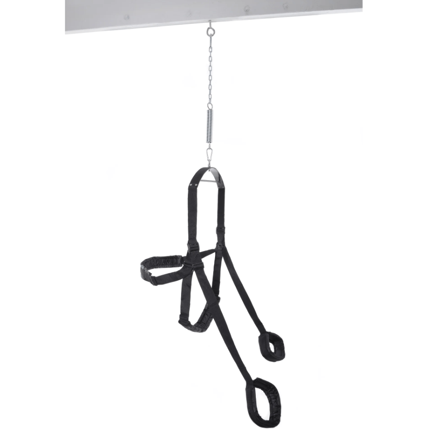 Fetish Fantasy Series Fantasy Swing - Black